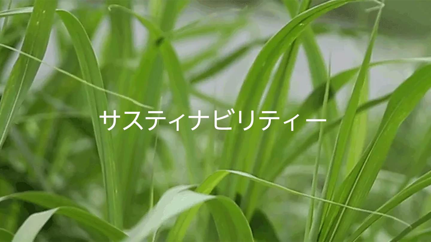 若い緑の草