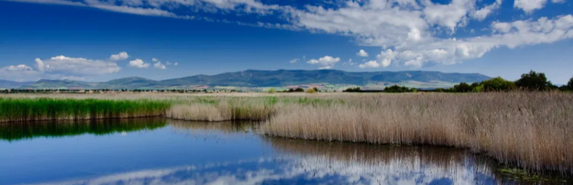 Yandin Wind Farm in Australia produces renewable electricity