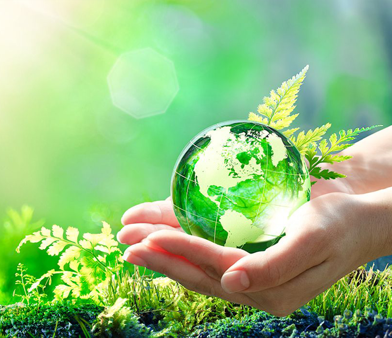 Устойчивое развитие на пути к более экологичному и ответственному будущему     