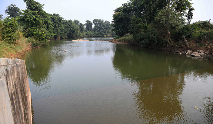 A wide river lined by trees and bushes.
