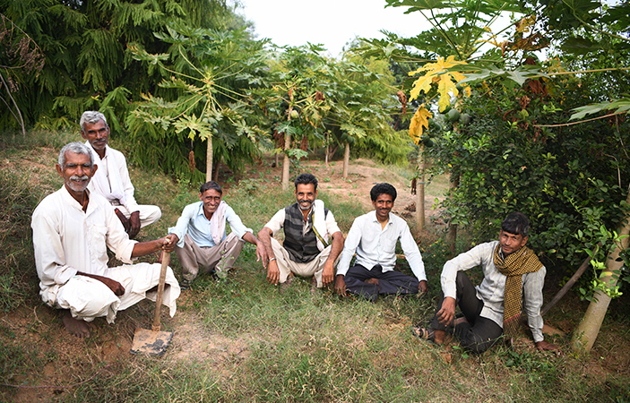 A group of 6 men sat in an orchard.