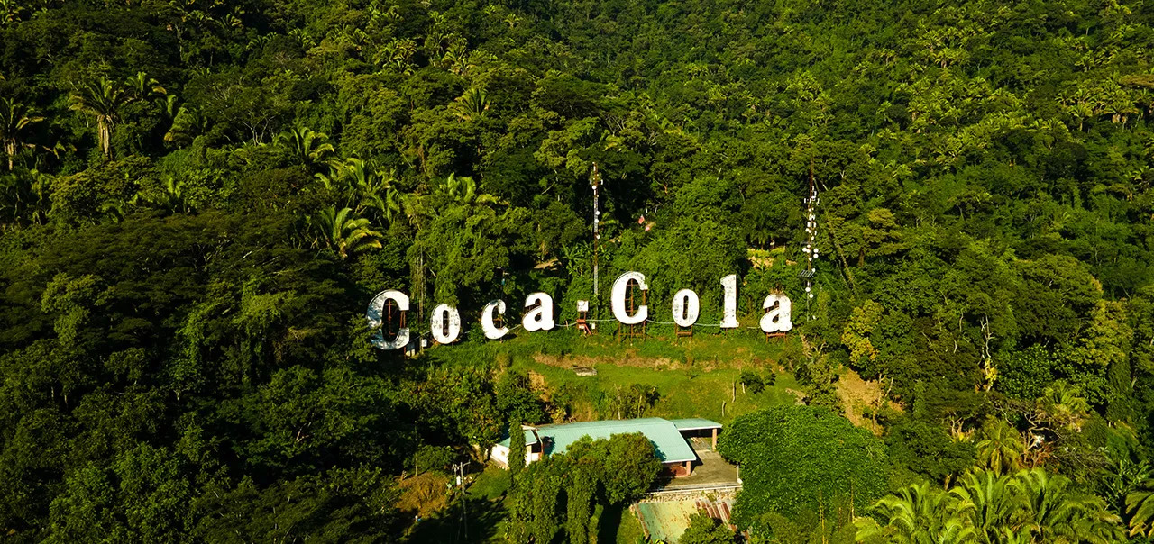 Le nom de marque "Coca-Cola" en blanc à l'intérieur de la forêt