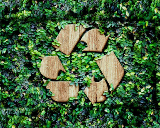 Simbolul de reciclare alcătuit din piese de lemn, pe fundalul unui frunziș des, verde.