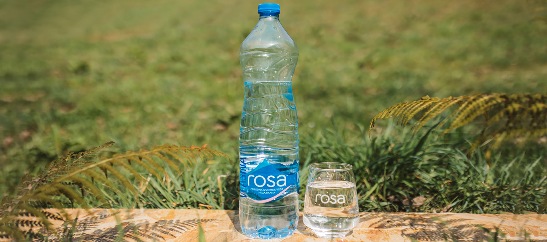 rosa baner