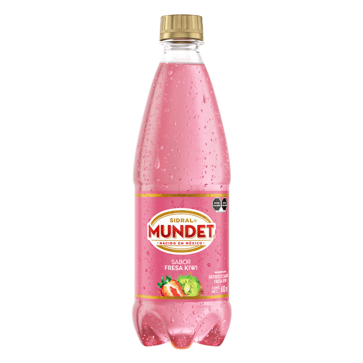 Botella de Sidral Mundet sabor fresa-kiwi