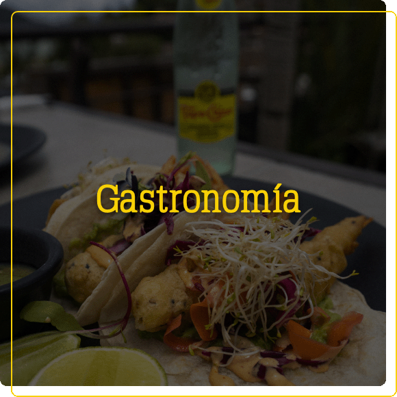 Gastronomía