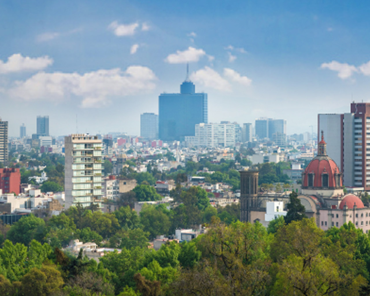 Vista de la ciudad de México con muchos árboles y los edificios más altos sobre el horizonte.
