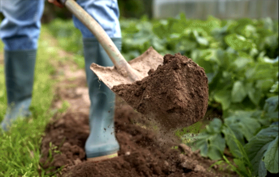 Hombre realiza excavaciones con una pala