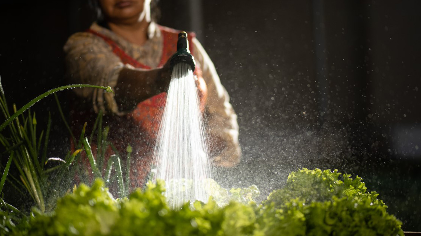 Una mujer riega las plantas