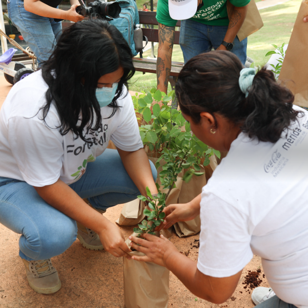 Dos mujeres transplantan una planta