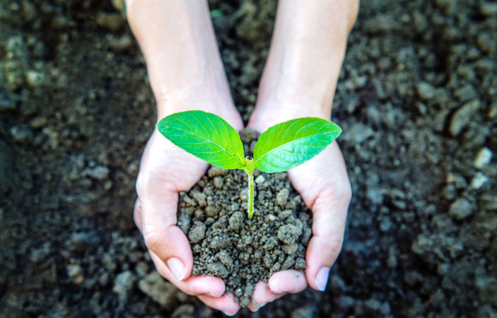 Dos manos sostienen un puñado de tierra, de donde sobresale una planta