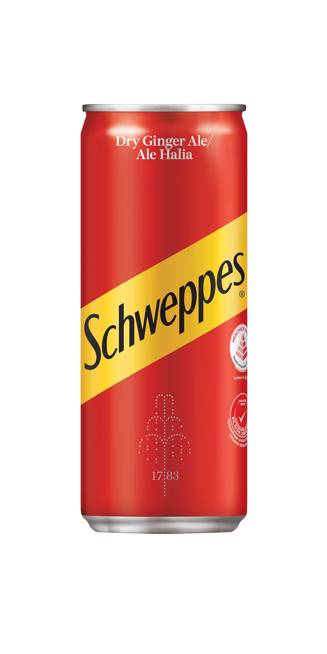 Schweppes Dry Ginger Ale (can)
