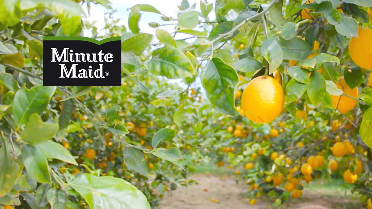 Minute maid-logo op een weelderige groene achtergrond