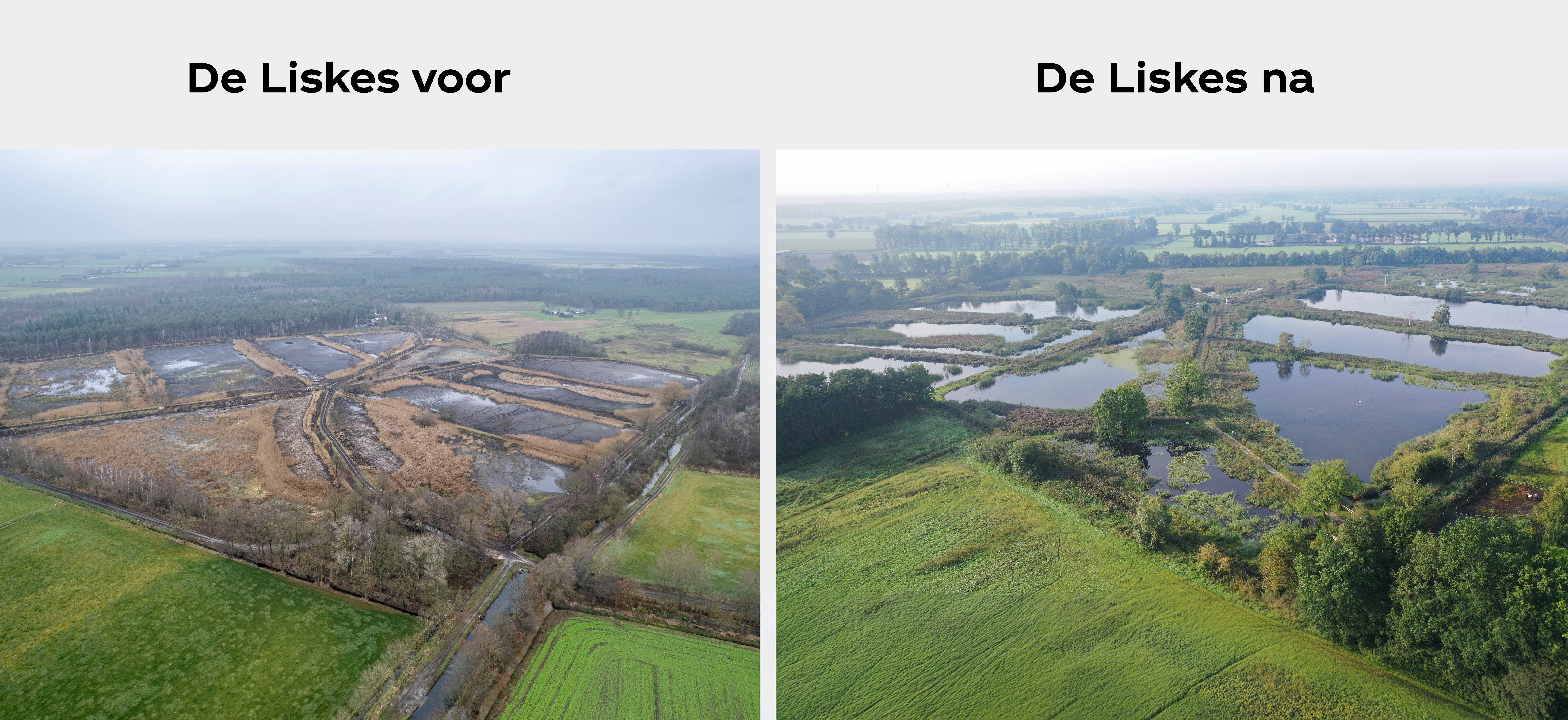 de liskes voor en na