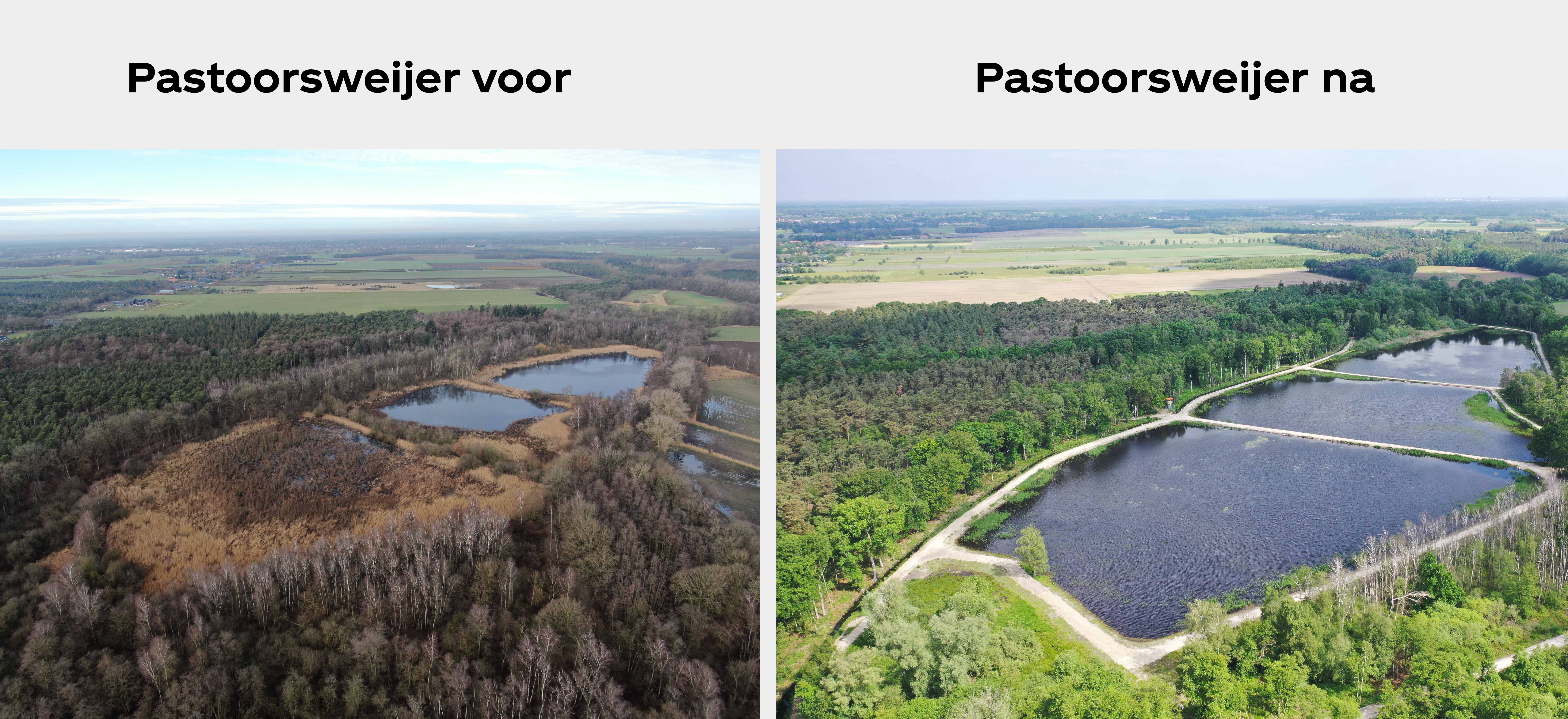 voor en na Pastoorsweijer