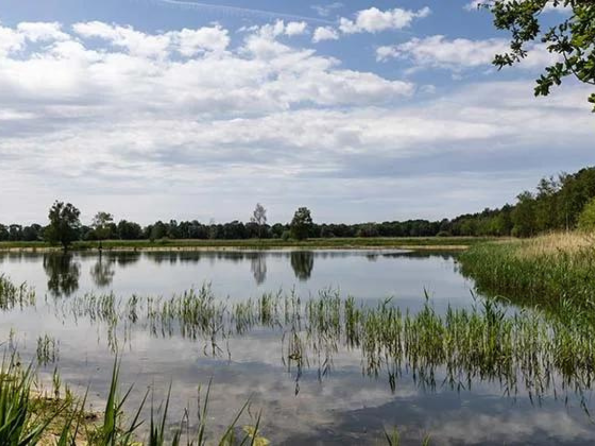 Waterbeheer