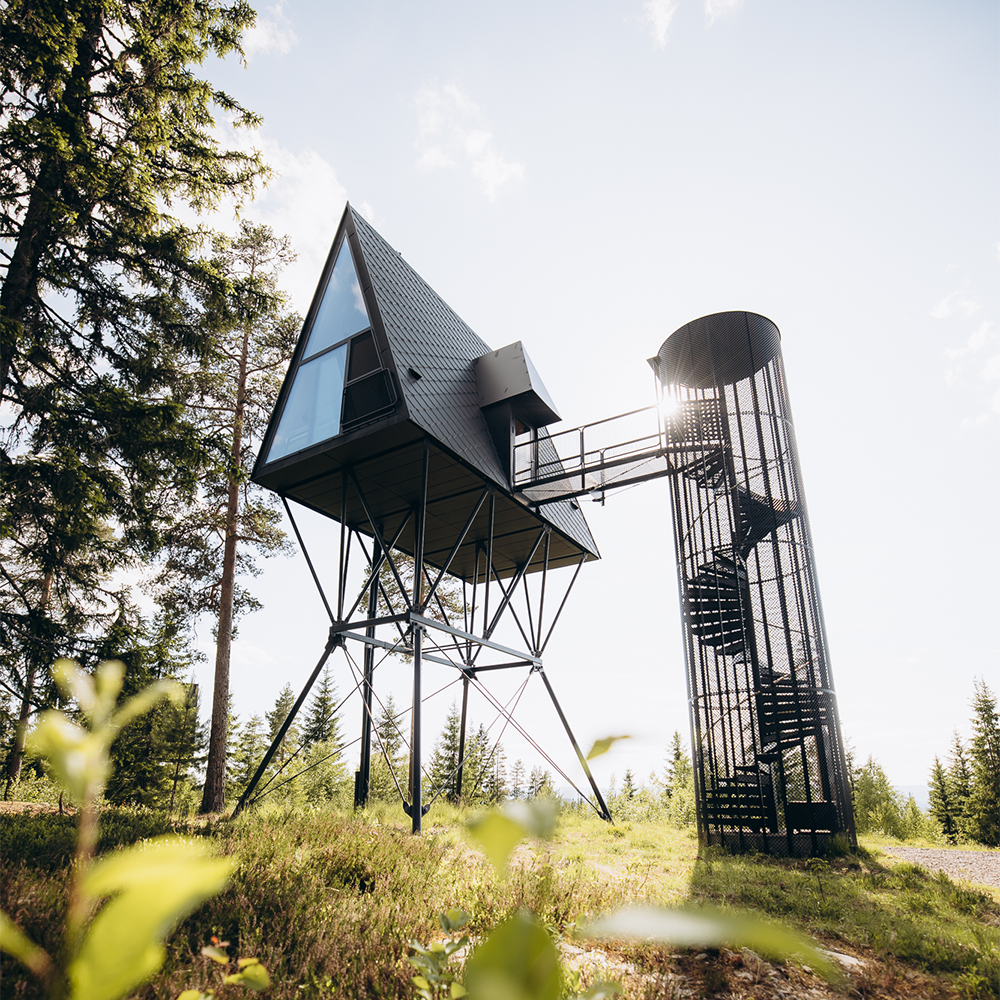 PAN treetop cabin
