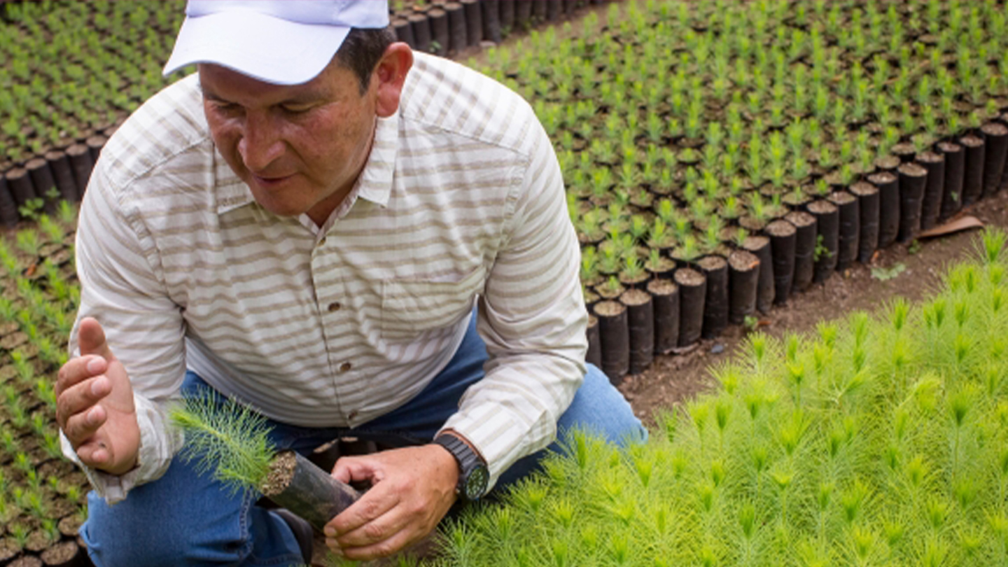 Hombre en un vivero sujetando una planta