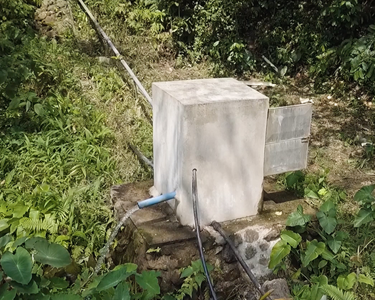 Structure with water in the middle of the forest