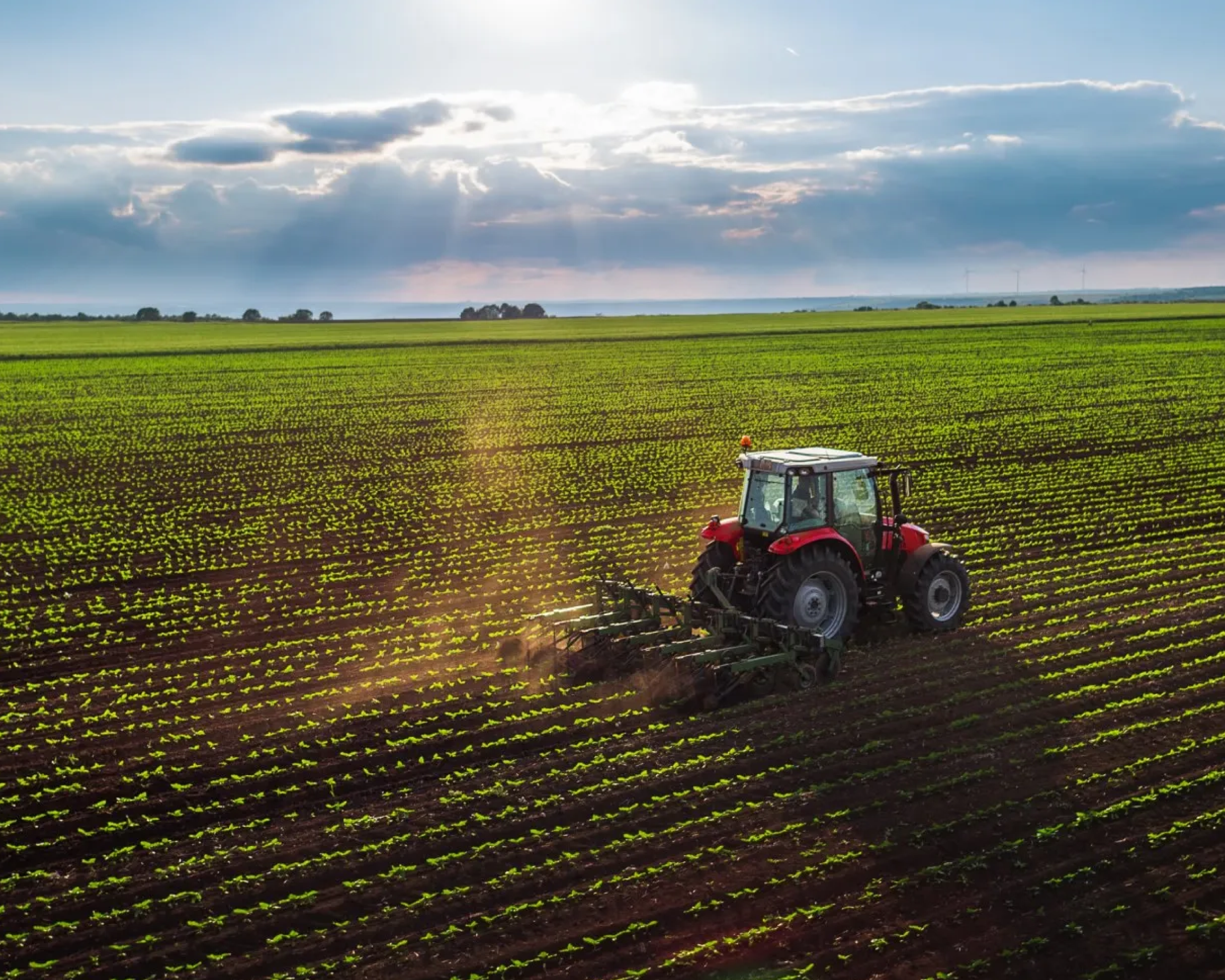 Estudo de Impacto Socioeconómico 2025