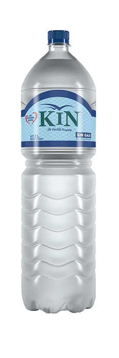 Kin Sin Gas