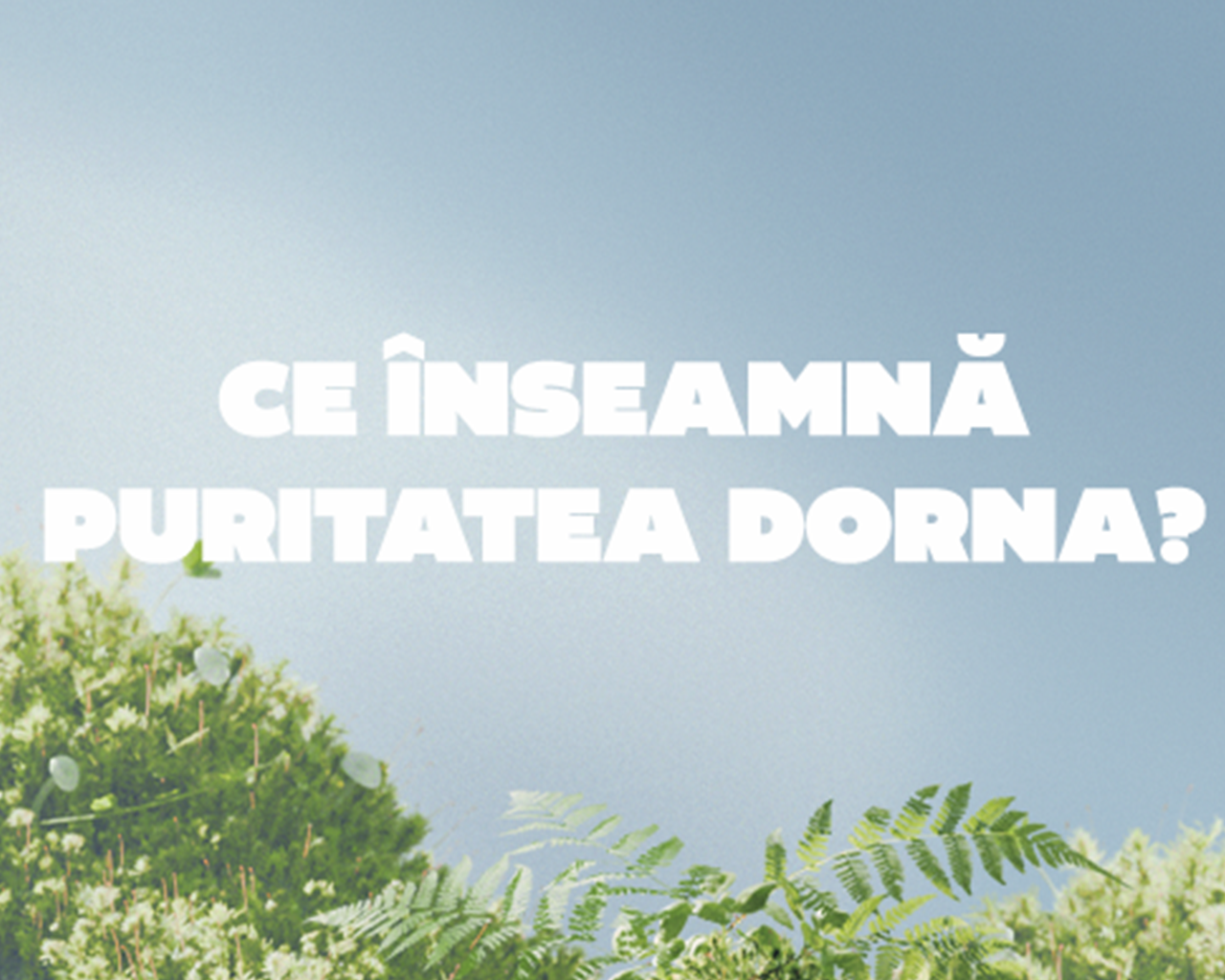Text alb, mare, pe fundal albastru deschis, cu mesajul „Ce înseamnă puritatea Dorna?”, iar în partea de jos apar mușchi și frunze verzi.