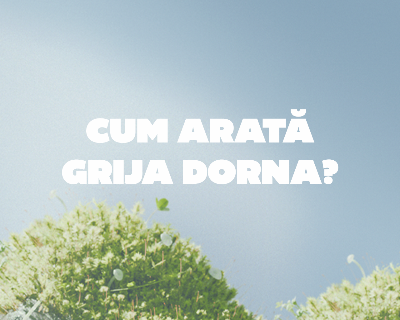 Text alb, mare, pe fundal albastru deschis, cu mesajul „Cum arată grija Dorna?”, iar în partea de jos se văd mușchi și plante verzi.