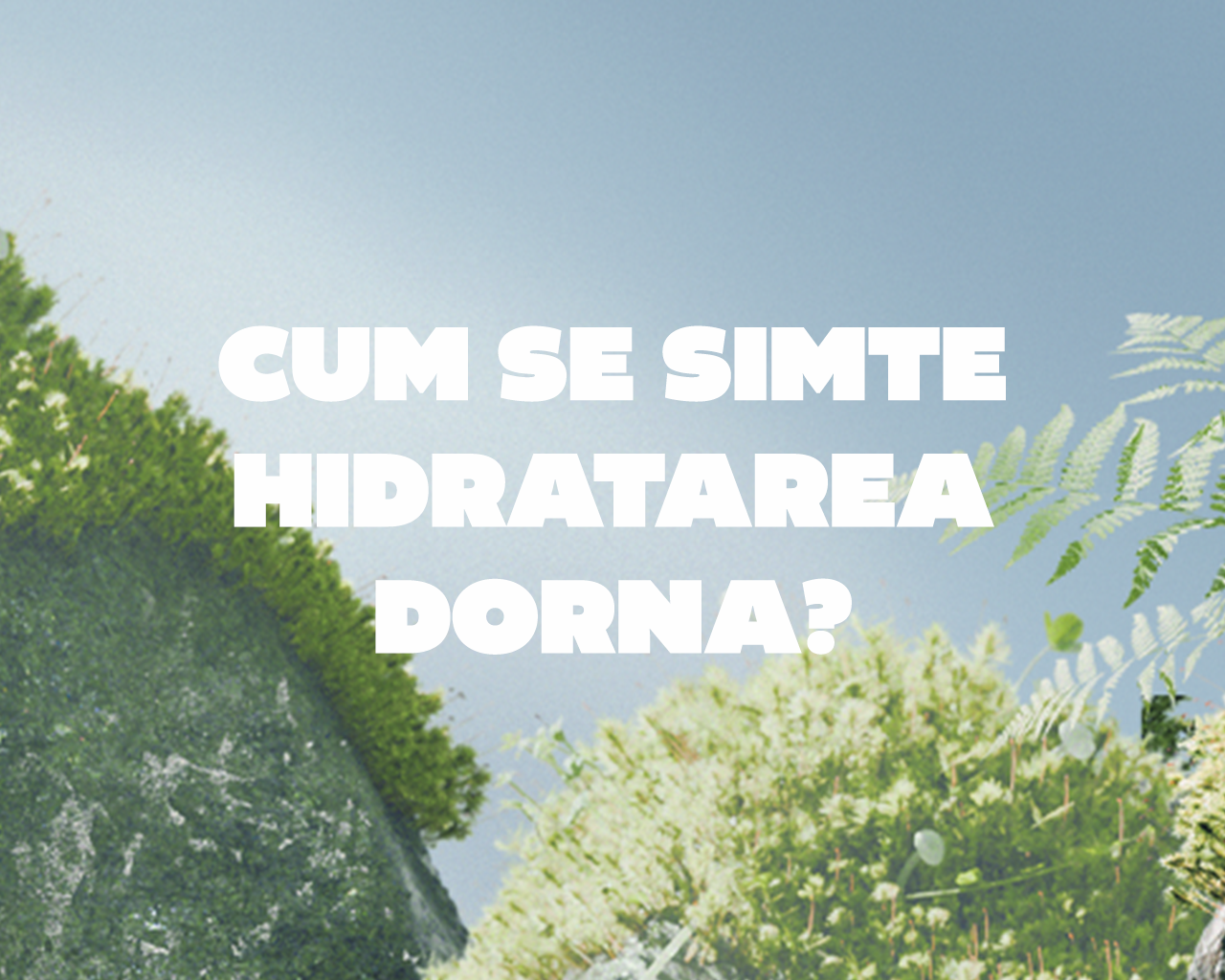 Text alb, mare, pe fundal albastru deschis, cu mesajul „Cum se simte hidratarea Dorna?”, iar în partea de jos și pe margini se văd roci acoperite cu mușchi și frunze verzi.