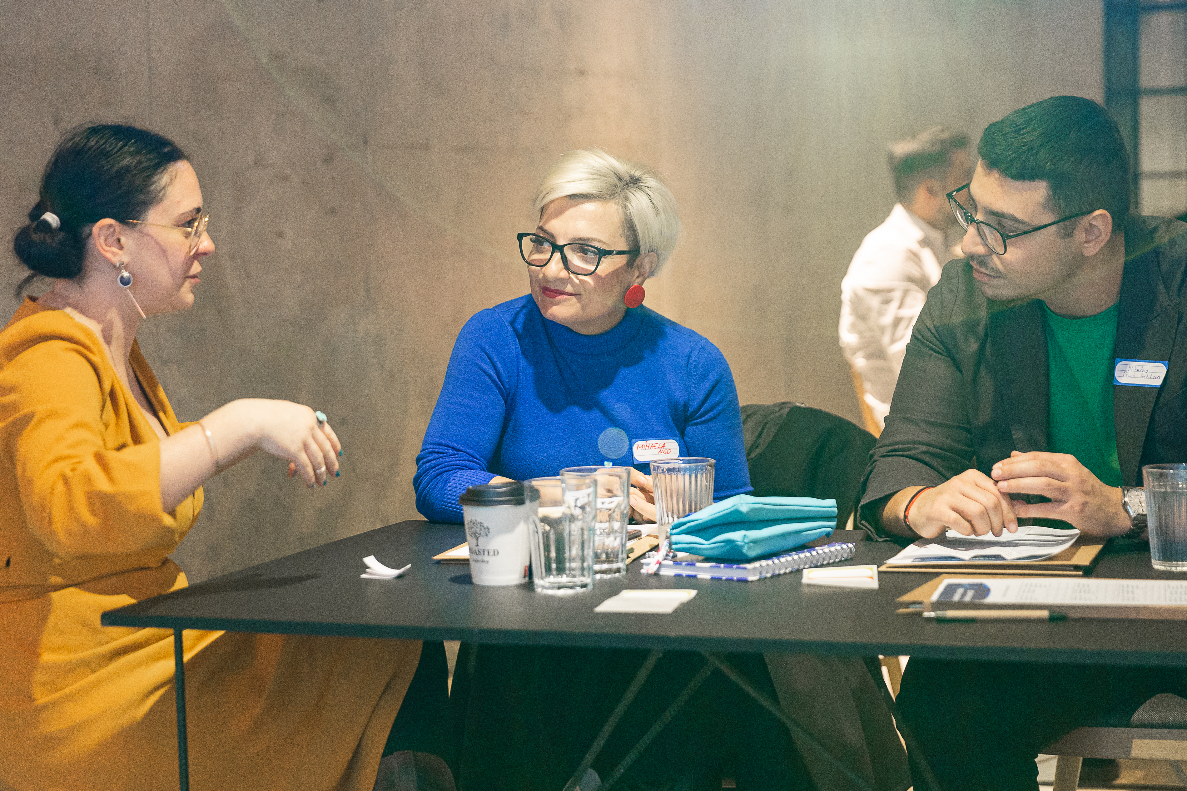 Imaginea 4 a Viitorului Sustenabil