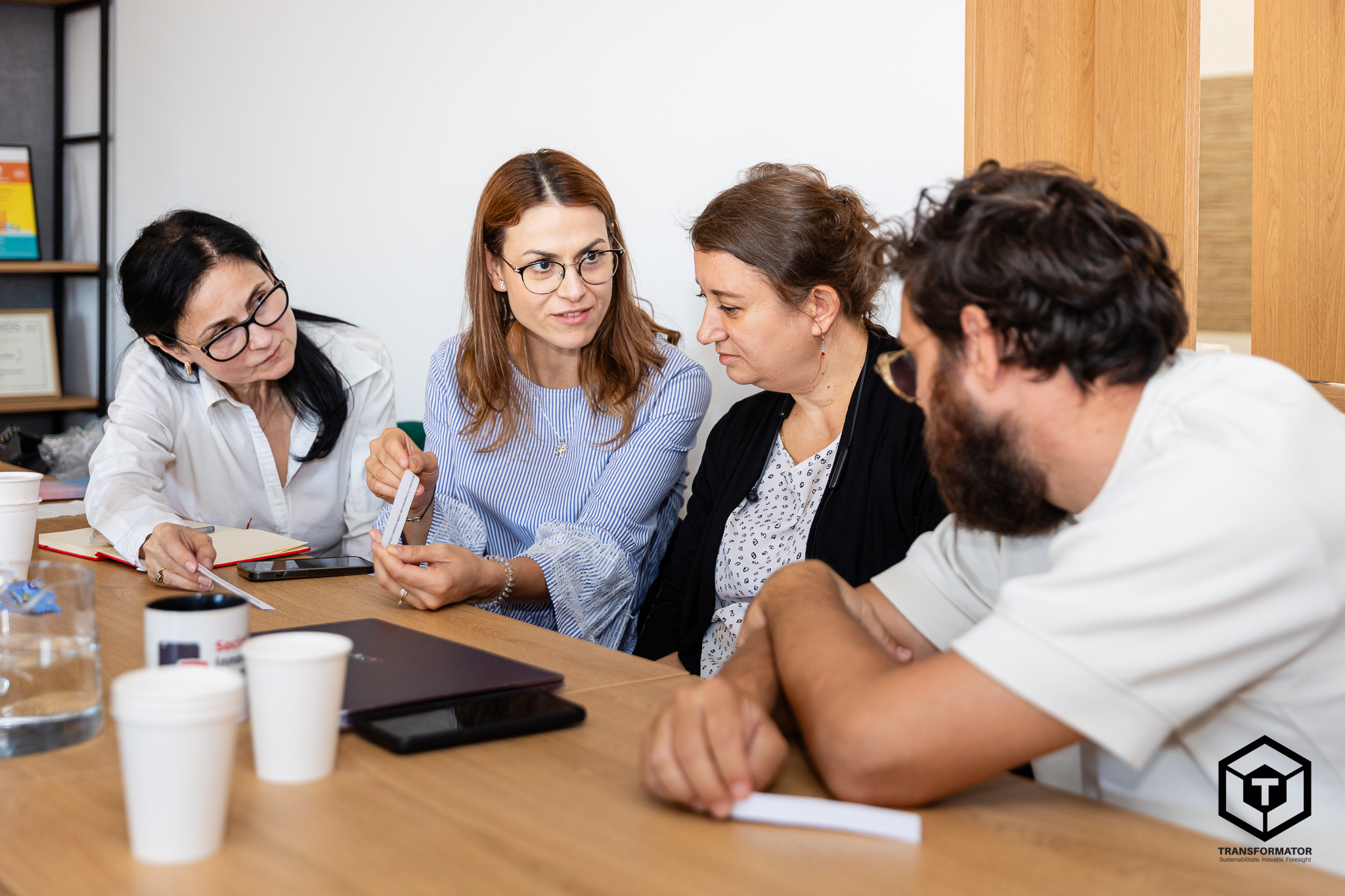 Imaginea 5 a Viitorului Sustenabil