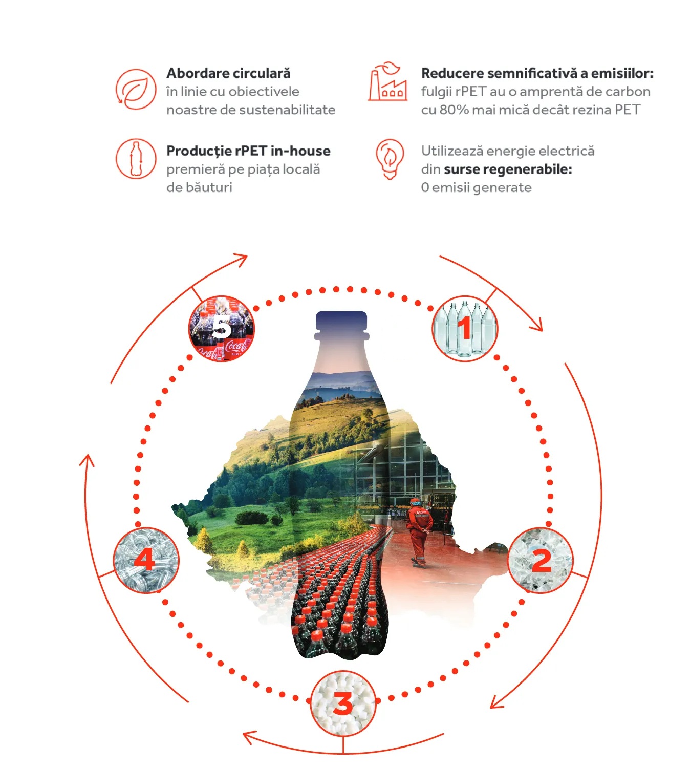 Infografic Coca-Cola Romania despre productia rPET