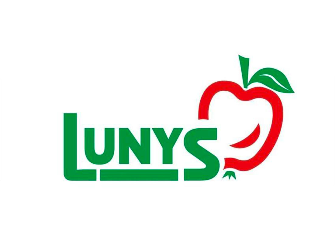 Logo Lunys