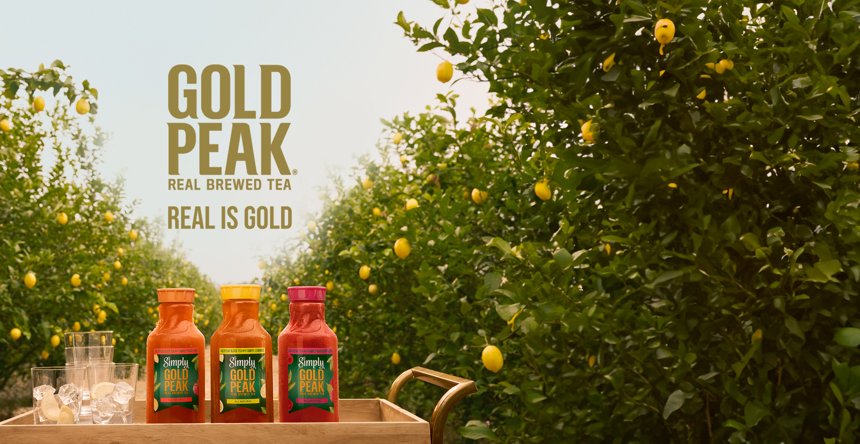 Gold Peak Real Brewed Tea. Real is Gold