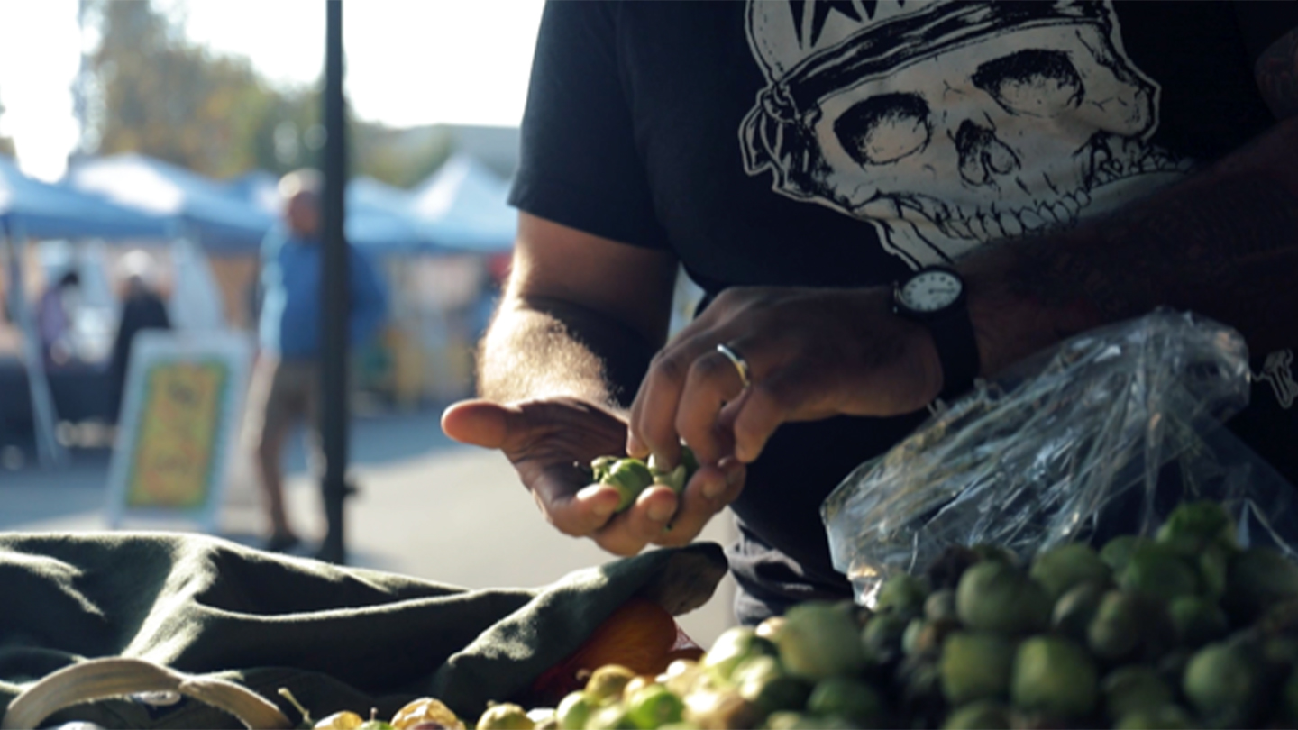 Close up of Ted Montoya picking olives in a Farmer's Market