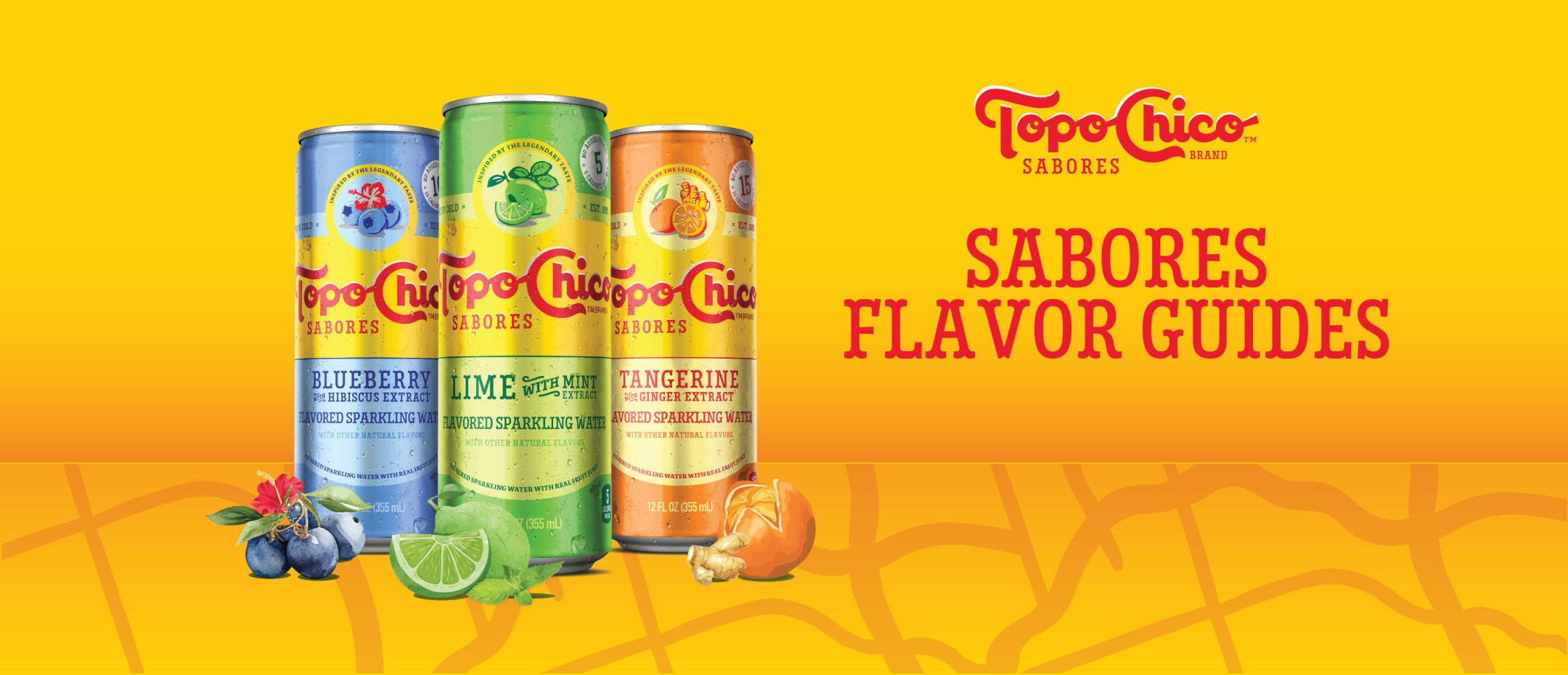 Three cans of Topo Chico Sabores on a multi-colored background