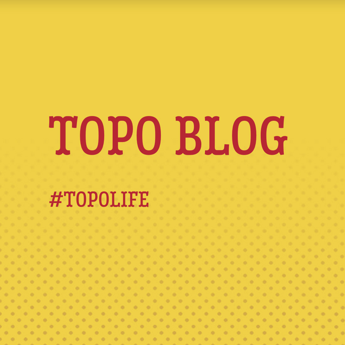 Topo Blog logo