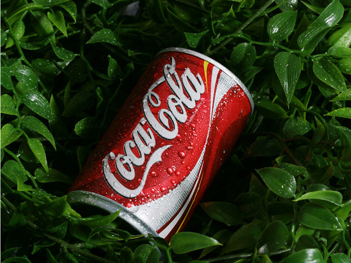 Sustainability