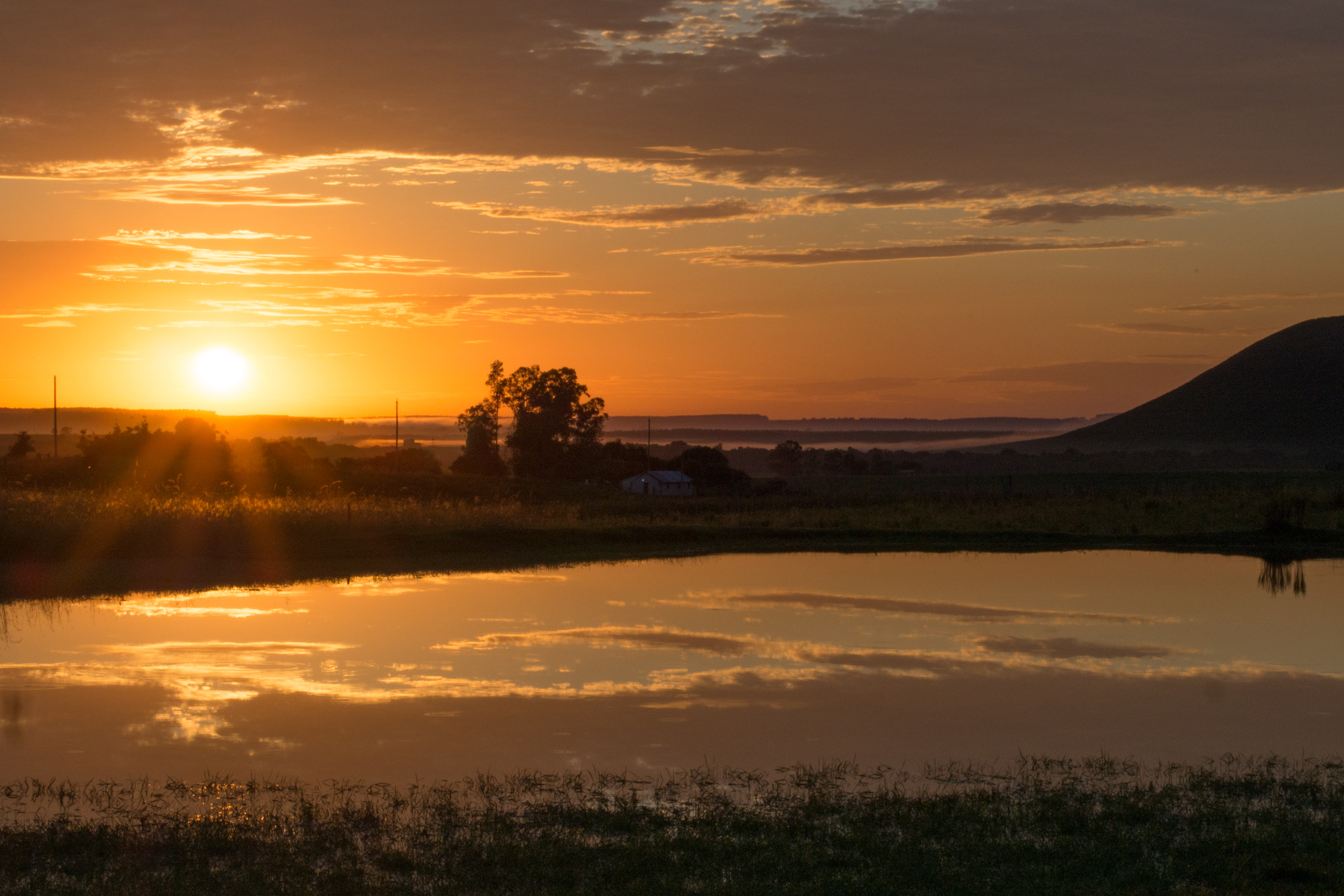 Puesta de sol en paisaje de agua y vegetación