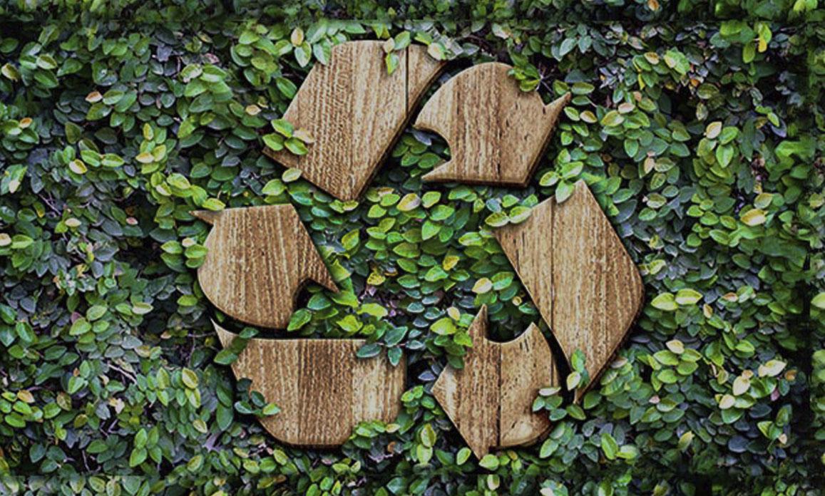 شعار قابل لإعادة التدوير مصنوع من الخشب على سطح نباتات