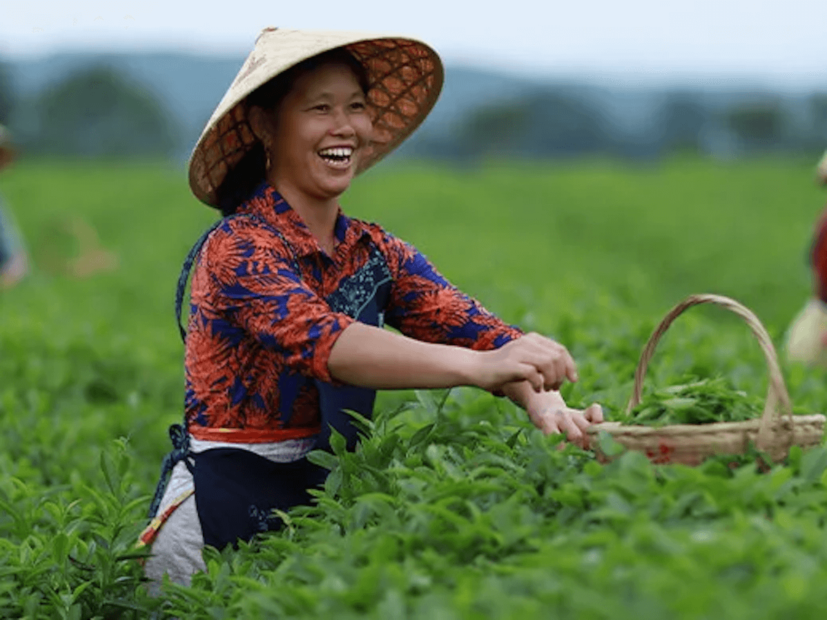 Жена се смеје док ради у области пољопривреде
