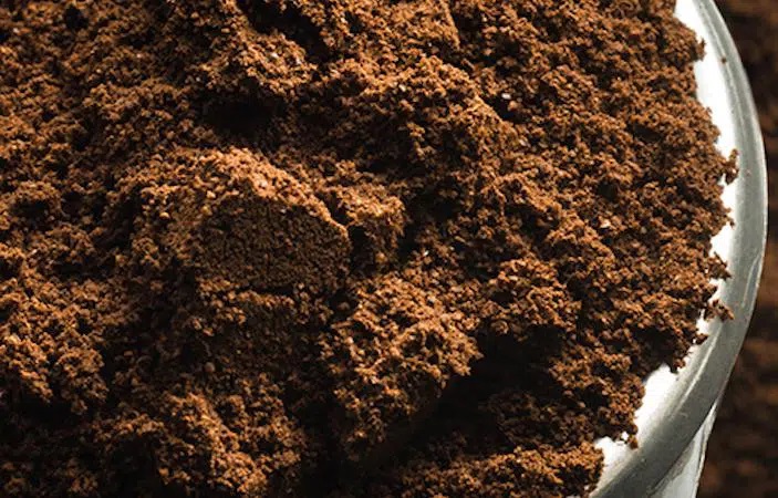 Sustainable Agriculture
